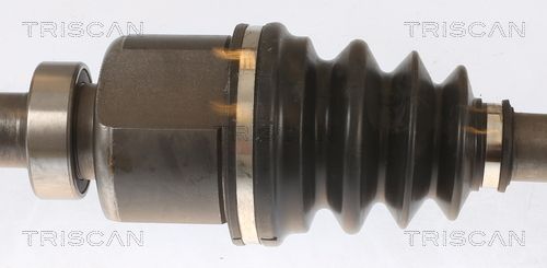 Pusašis TRISCAN 8540 25688