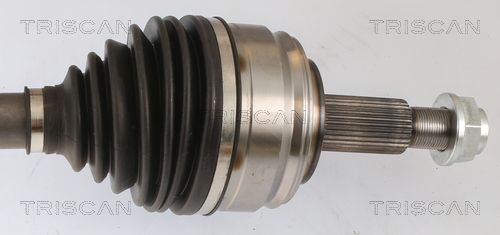 Pusašis TRISCAN 8540 25688