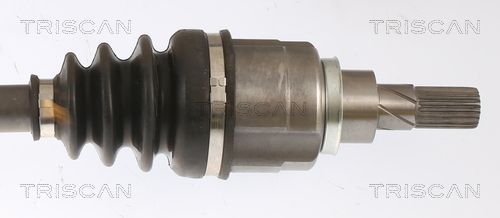 Pusašis TRISCAN 8540 25693