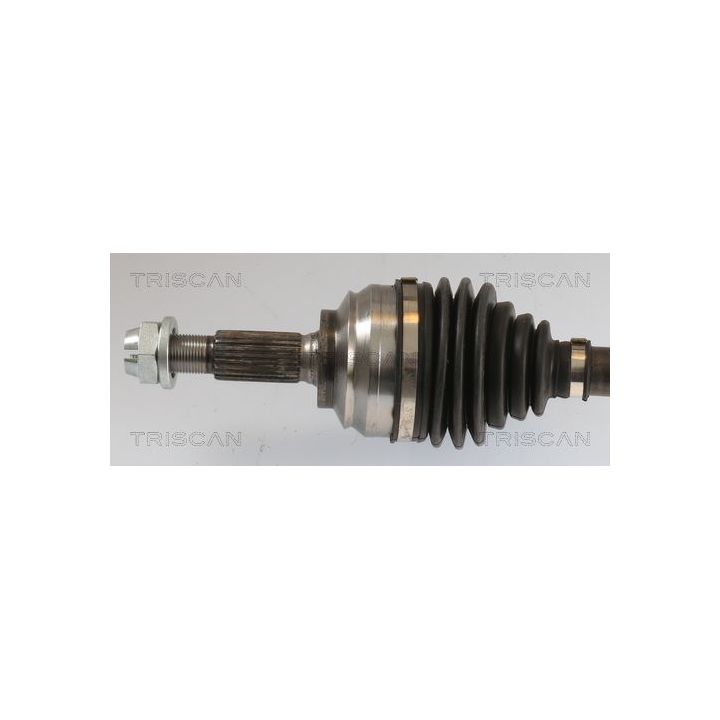 Pusašis TRISCAN 8540 25697