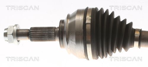 Pusašis TRISCAN 8540 25709