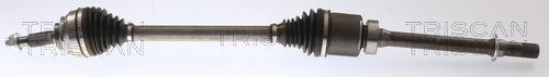 Pusašis TRISCAN 8540 25710