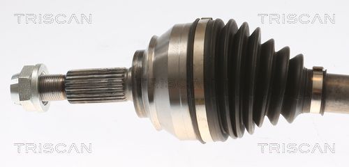 Pusašis TRISCAN 8540 25710