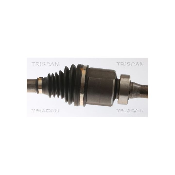 Pusašis TRISCAN 8540 25710
