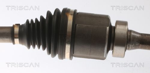 Pusašis TRISCAN 8540 25710