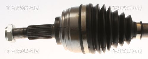 Pusašis TRISCAN 8540 25712