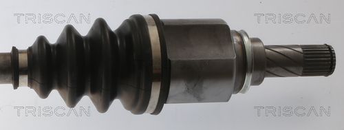 Pusašis TRISCAN 8540 25712