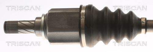 Pusašis TRISCAN 8540 25713