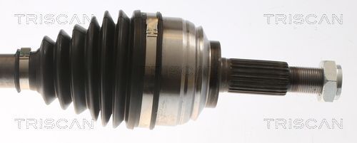 Pusašis TRISCAN 8540 25713