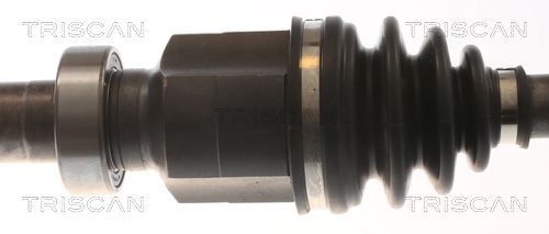 Pusašis TRISCAN 8540 25716