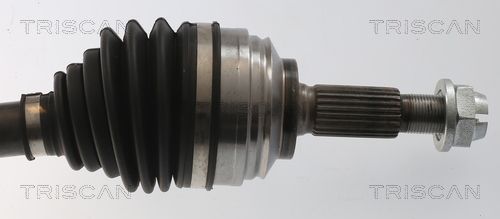 Pusašis TRISCAN 8540 25716