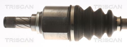 Pusašis TRISCAN 8540 25717