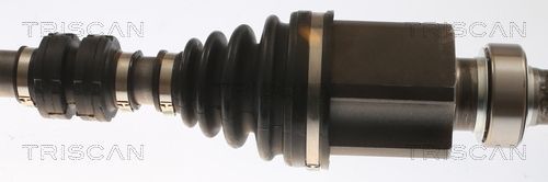 Pusašis TRISCAN 8540 25718