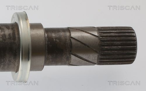 Pusašis TRISCAN 8540 25718