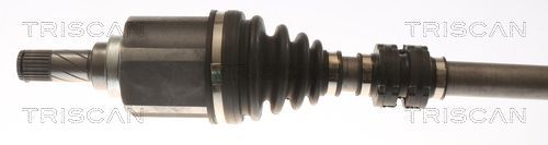 Pusašis TRISCAN 8540 25719