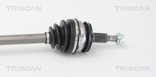 Pusašis TRISCAN 8540 295008