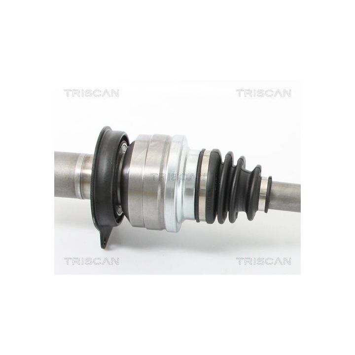 Pusašis TRISCAN 8540 295010