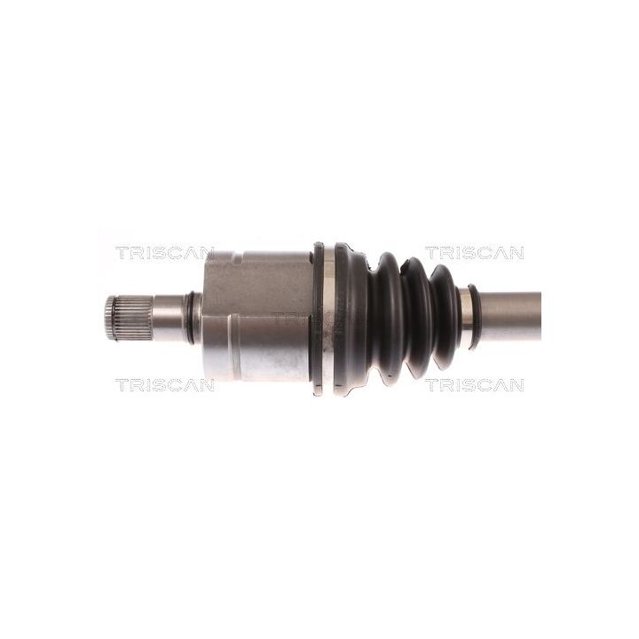 Pusašis TRISCAN 8540 295015