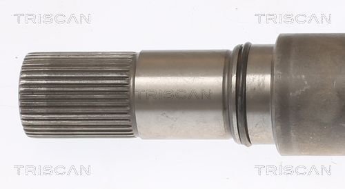 Pusašis TRISCAN 8540 295022