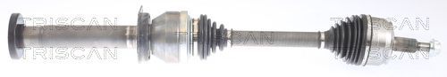 Pusašis TRISCAN 8540 295028