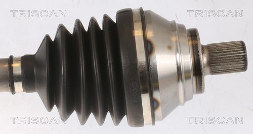 Pusašis TRISCAN 8540 295041