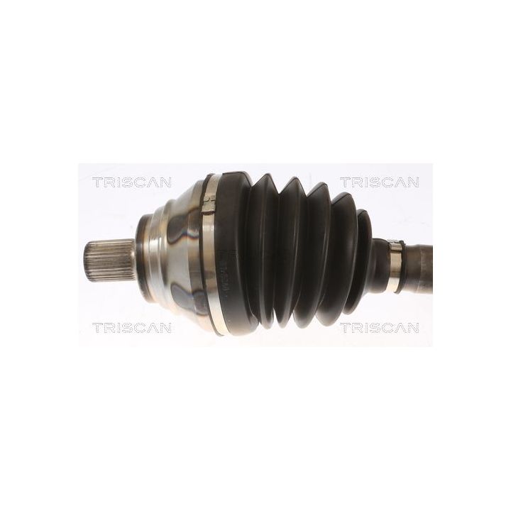 Pusašis TRISCAN 8540 295046