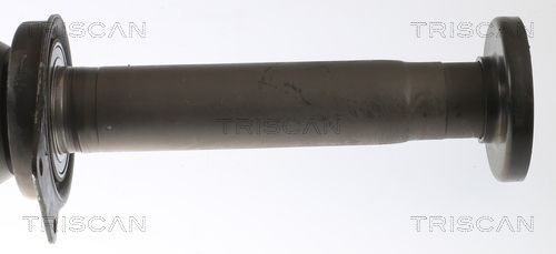 Pusašis TRISCAN 8540 295061