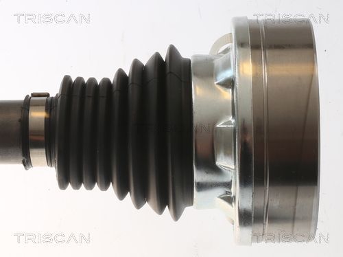 Pusašis TRISCAN 8540 295074