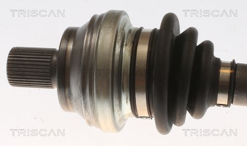 Pusašis TRISCAN 8540 295075