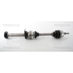 Pusašis TRISCAN 8540 29668