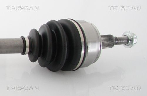 Pusašis TRISCAN 8540 29668