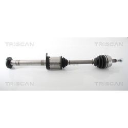 Pusašis TRISCAN 8540 29693