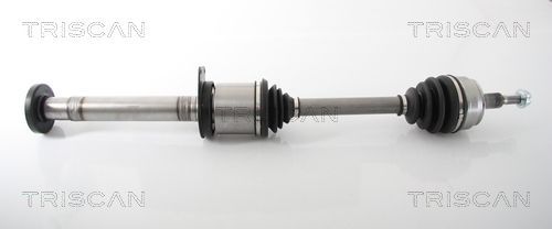 Pusašis TRISCAN 8540 29693