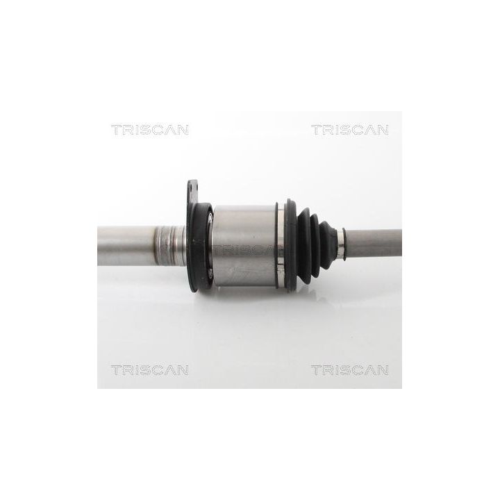 Pusašis TRISCAN 8540 29693