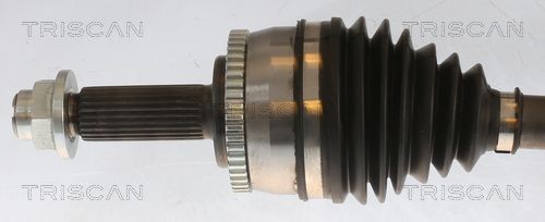 Pusašis TRISCAN 8540 43501