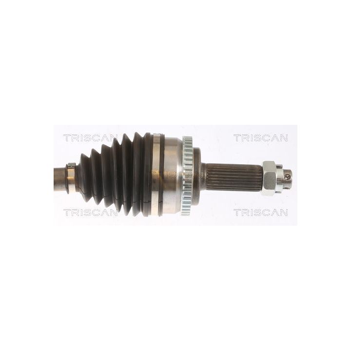 Pusašis TRISCAN 8540 43503