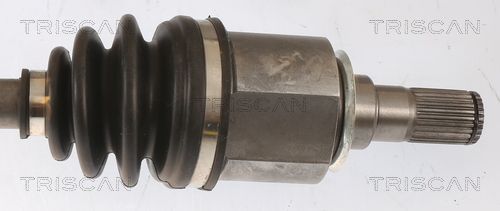 Pusašis TRISCAN 8540 43505