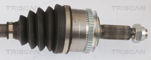 Pusašis TRISCAN 8540 43506