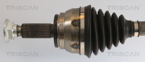 Pusašis TRISCAN 8540 43508