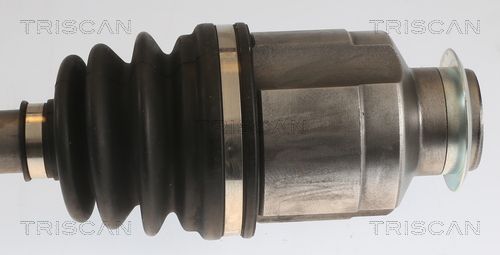 Pusašis TRISCAN 8540 43508