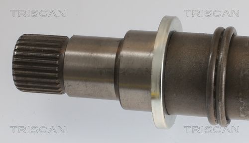 Pusašis TRISCAN 8540 43510