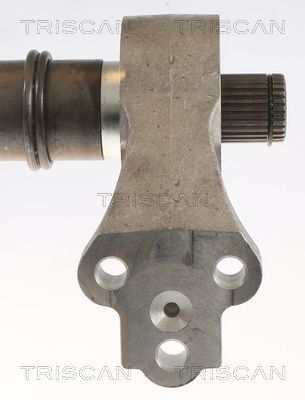 Pusašis TRISCAN 8540 43510
