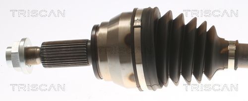 Pusašis TRISCAN 8540 43512