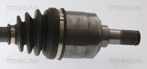 Pusašis TRISCAN 8540 43512