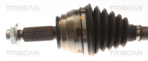 Pusašis TRISCAN 8540 43513