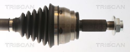 Pusašis TRISCAN 8540 43515