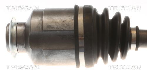 Pusašis TRISCAN 8540 43516