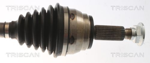 Pusašis TRISCAN 8540 43516