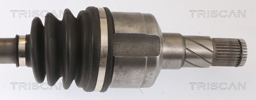 Pusašis TRISCAN 8540 81509