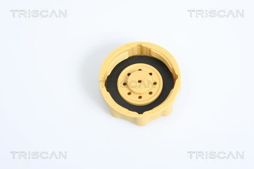 Dangtelis, radiatorius TRISCAN 8610 12